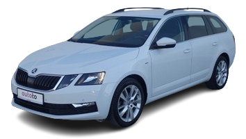 skodaocaviadsgkaravan